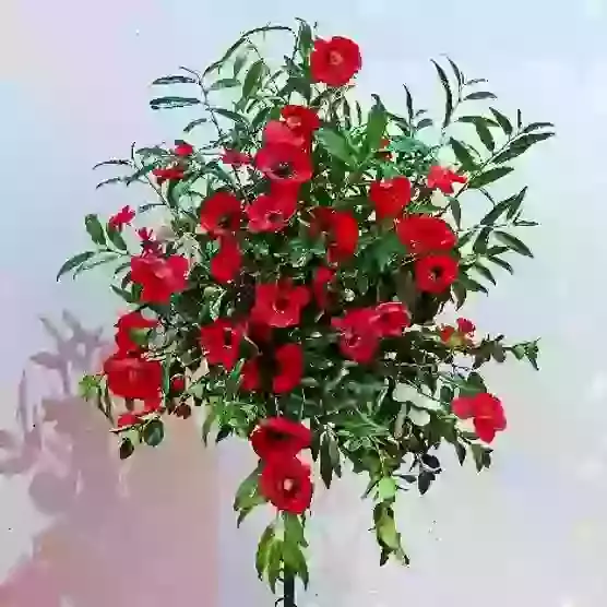 December 2025, January, February 2026